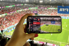 QA Testing for Sports Website